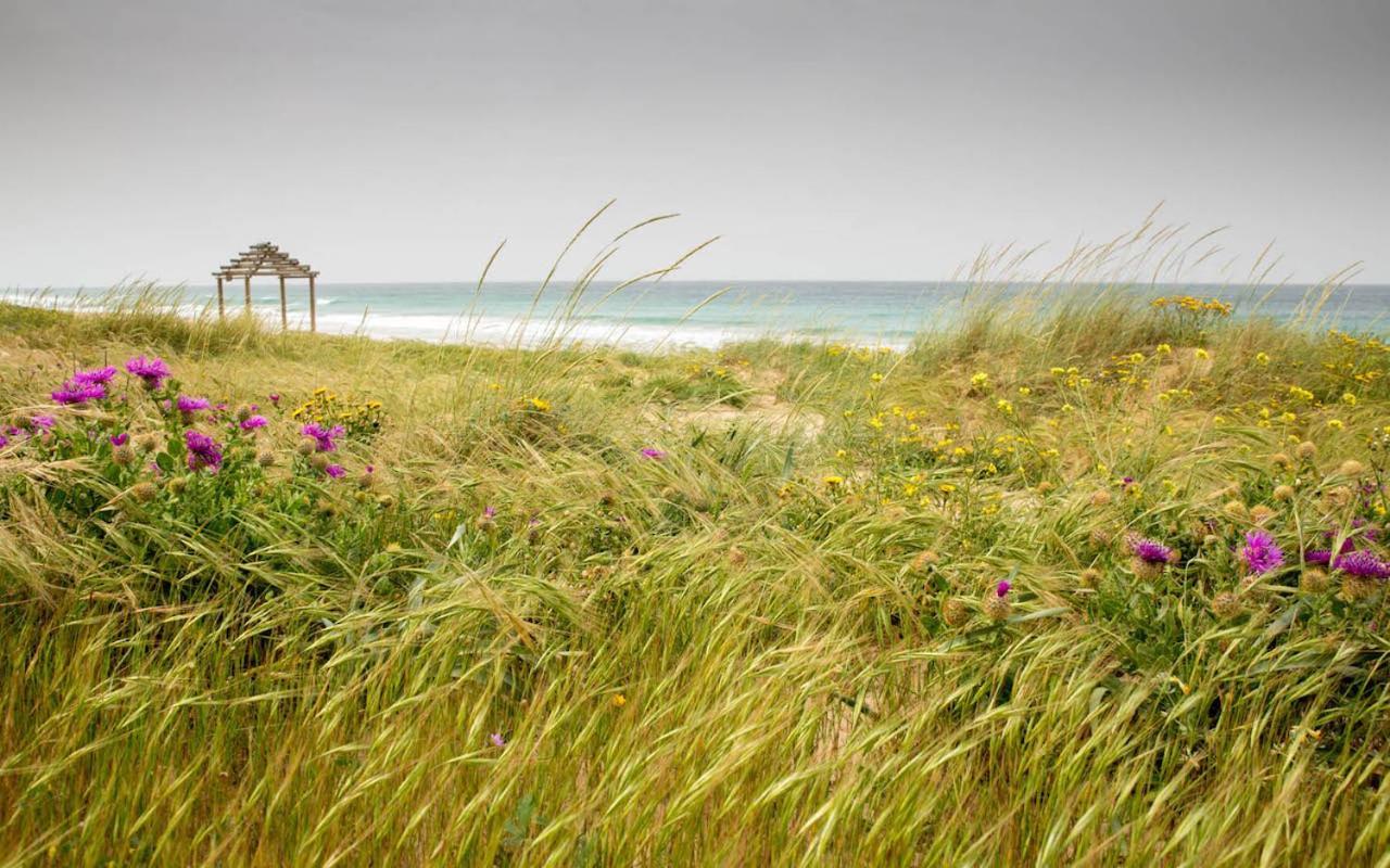 Romantic Beach Cabin - Playa El Palmar El Palmar  Exterior photo